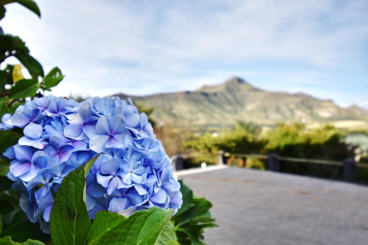 Golden View Luxury Self Catering Villa Clarens Eksteriør billede